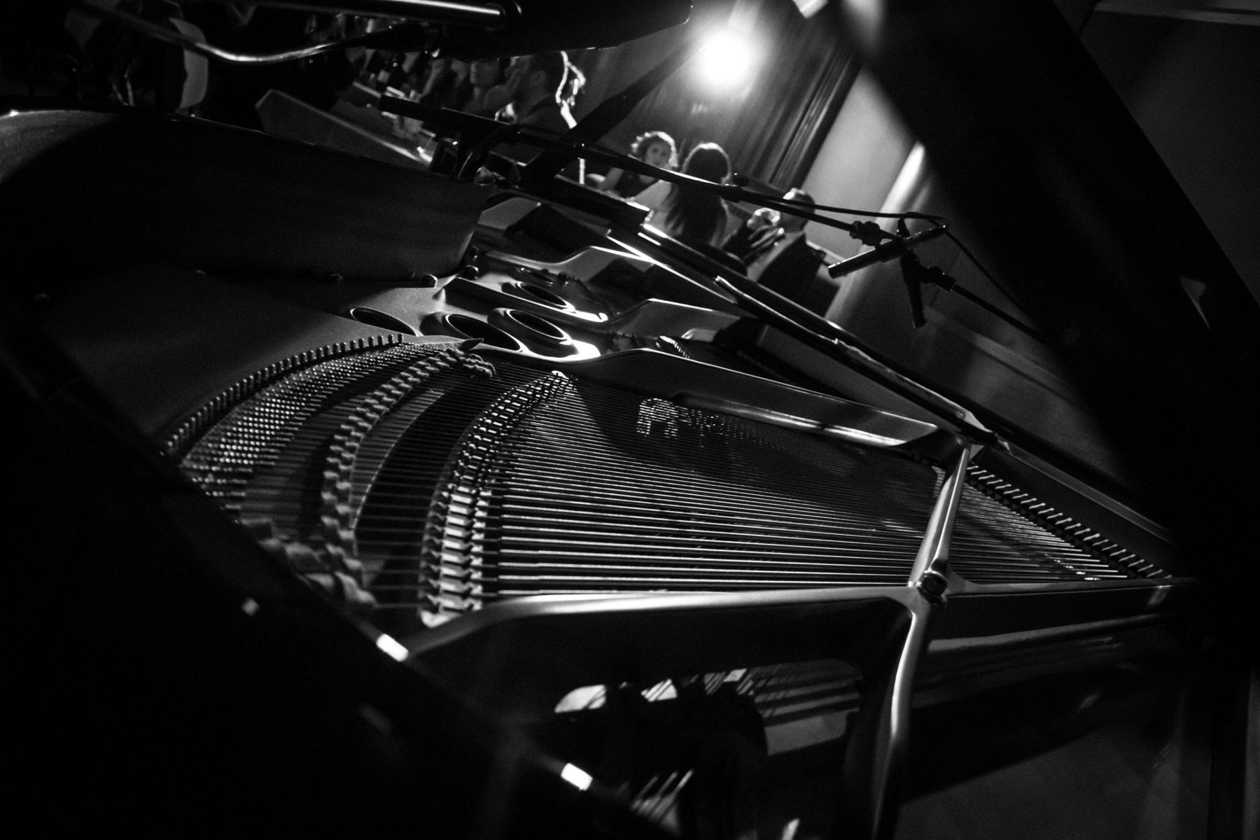 L'interno di un pianoforte a coda in bianco e nero, con le corde e i microfoni e il pubblico sullo sfondo
